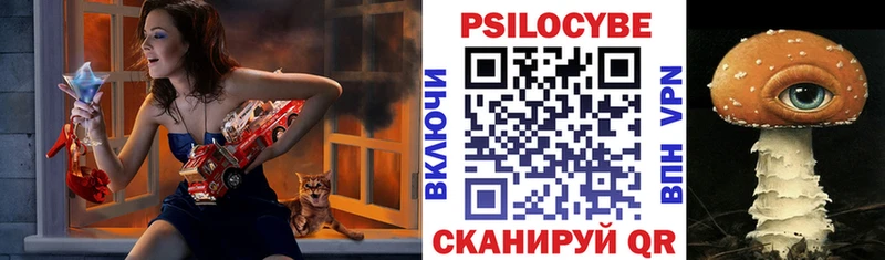 Галлюциногенные грибы GOLDEN TEACHER  Новый Оскол 